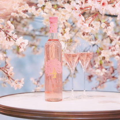 Sakura YOJI (4:30AM)(Limited Edition)